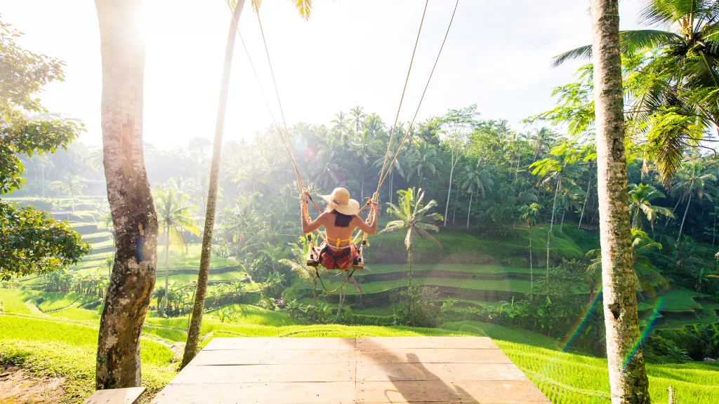 Ubud Waterfall & Rice Terrace Tour — Bali